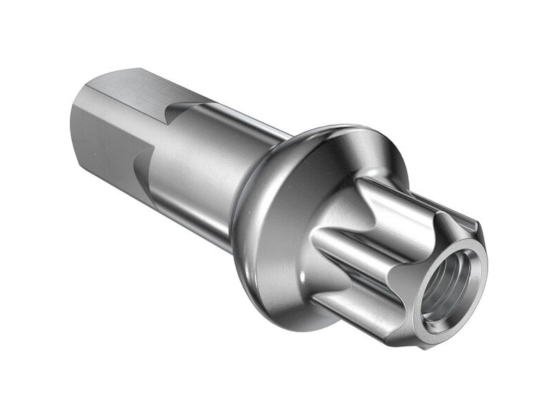 DT Swiss Pro Lock Nipples 15mm 2.0mm Squorx QTY 34 click to zoom image