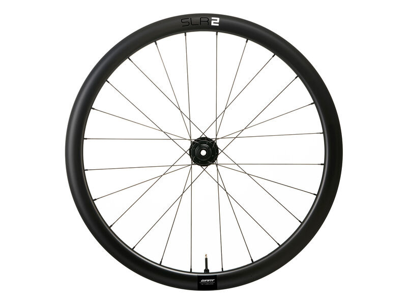 Giant SLR 2 42 Disc Front Wheel click to zoom image