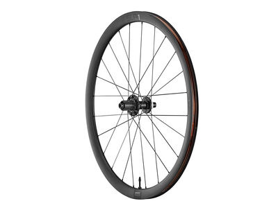 Giant SLR 1 36 Disc Rear Wheel click to zoom image