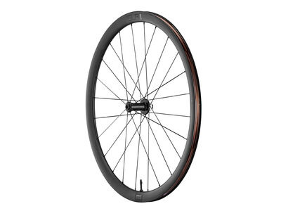 Giant SLR 1 36 Disc Front Wheel click to zoom image