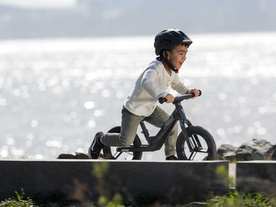 Giant Pre rCarbon click to zoom image