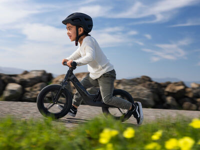 Giant Pre rCarbon click to zoom image