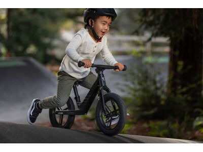 Giant Pre rCarbon click to zoom image