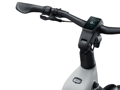Giant AnyTour X E+ 3 Black Currant click to zoom image