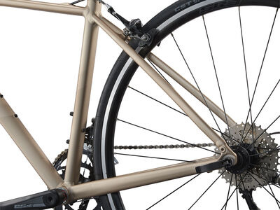 Liv Avail 2 click to zoom image