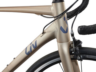 Liv Avail 2 click to zoom image