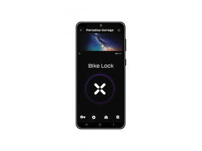 BLACK X Titan Smart Folding Lock Gold click to zoom image