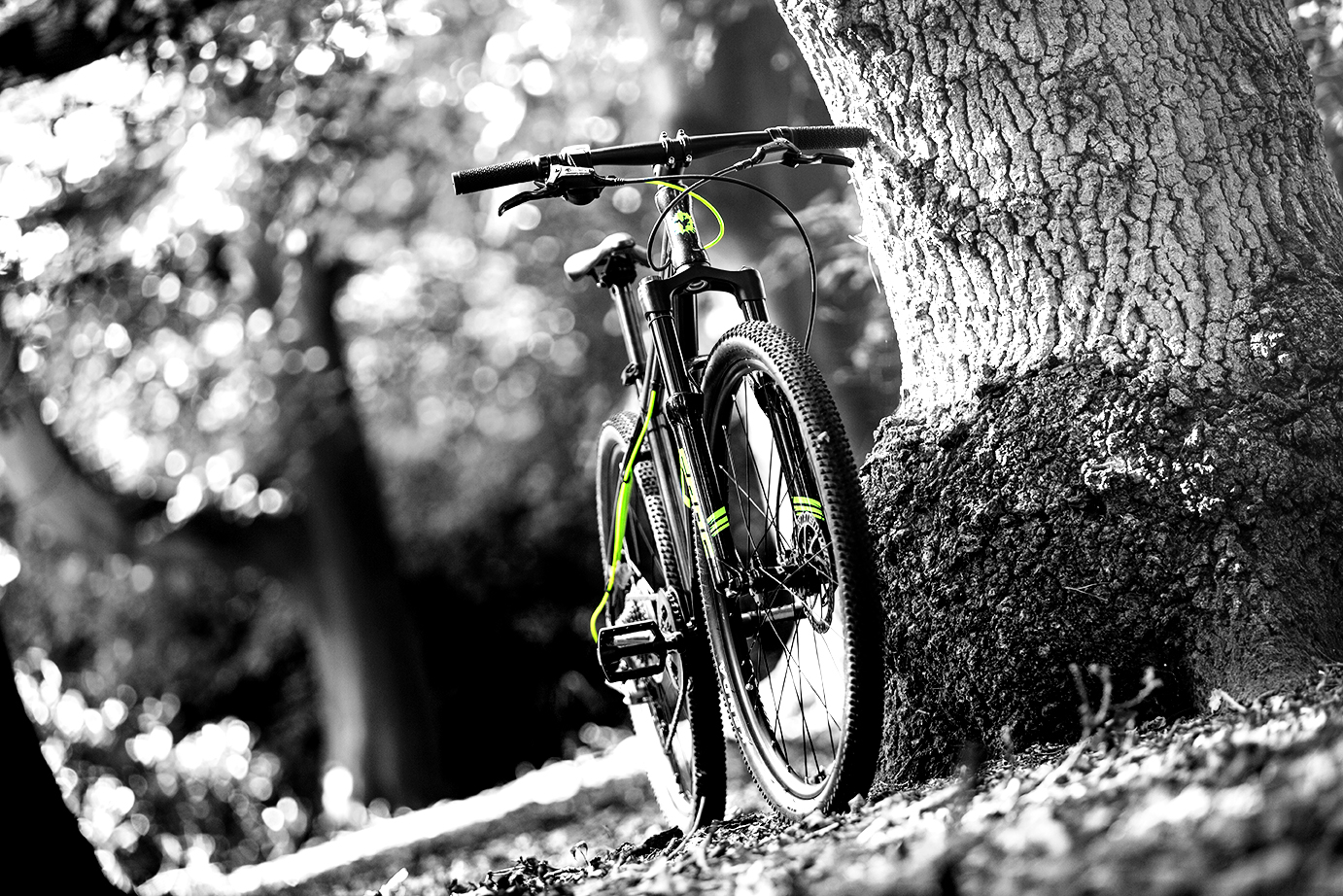 frog bikes mtb 62