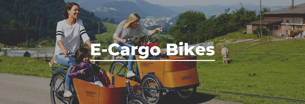 Electric cargo bikes & trikes in Yorkshire