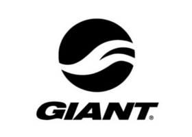 Giant bicycles 